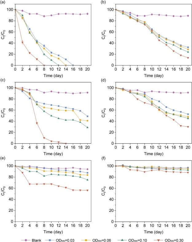 不同初始生物量水平(OD680 = 0.03、0.06、0.10 和 0.30)对 NFX(a, b)、CFX(c, d)和 SDZ(e, f)去除效率的影响,分别以 ME(左栏)和 DMSO(右栏)作为载体溶剂。误差棒表示标准差(n = 3)。