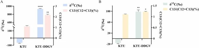 Stable isotope analysis for evaluating the DCA and 2,4-D mineralization capacity of strain KTU-DDGV. (A) DCA mineralization by strain KTU-DDGV in MMG. (B) 2,4-D mineralization by strain KTU-DDGV in MMG. Strain KTU-DDGV or KTU was incubated in 20 mL of MMG supplemented with 99 mg/L 13C2-DCA or 25 mg/