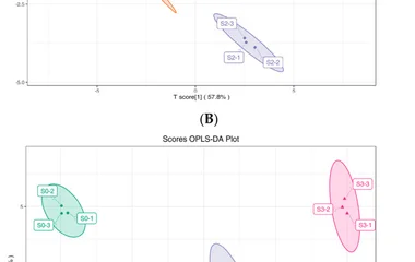 Temporal Partitioning of Carotenoid, Flavonoid and Anthocyanin Biosynthesis Unde