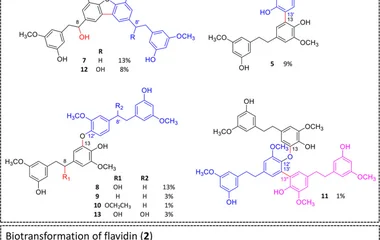 Isolated derivatives obtained from the biotransformation of gigantol ( 1 ), flavidin ( 2 ) and coelonin ( 3 ). The perce