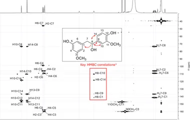 HMBC spectrum showing all the correlations observed for compound 3 .