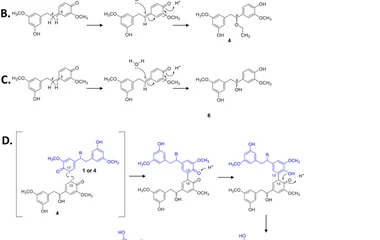 T. versicolor laccase-catalyzed radical formation on gigantol ( 1 ). Proposed mechanisms for the generation of compounds