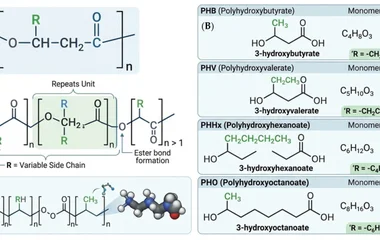 PHA产生微生物全球研究趋势：可持续生物塑料技术的文献计量学