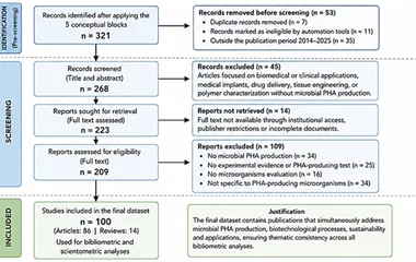Flowchart of the search, refinement, and analysis process.