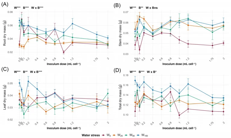 Dry mass responses of soybean seedlings to the water regime and Bacillus subtilis + Bacillus amyloliquefaciens inoculum dose: ( A ) root dry mass, ( B ) stem dry mass, ( C ) leaf dry mass and ( D ) total dry mass, all expressed as g plant −1 . The four water regimes and eleven inoculum doses were im
