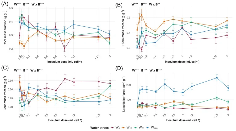 Biomass allocation and leaf construction in soybean seedlings: ( A ) root mass fraction (RMF = root dry mass/total dry mass), ( B ) stem mass fraction (SMF = stem dry mass/total dry mass), ( C ) leaf mass fraction (LMF = leaf dry mass/total dry mass) and ( D ) specific leaf area (SLA = leaf area/lea