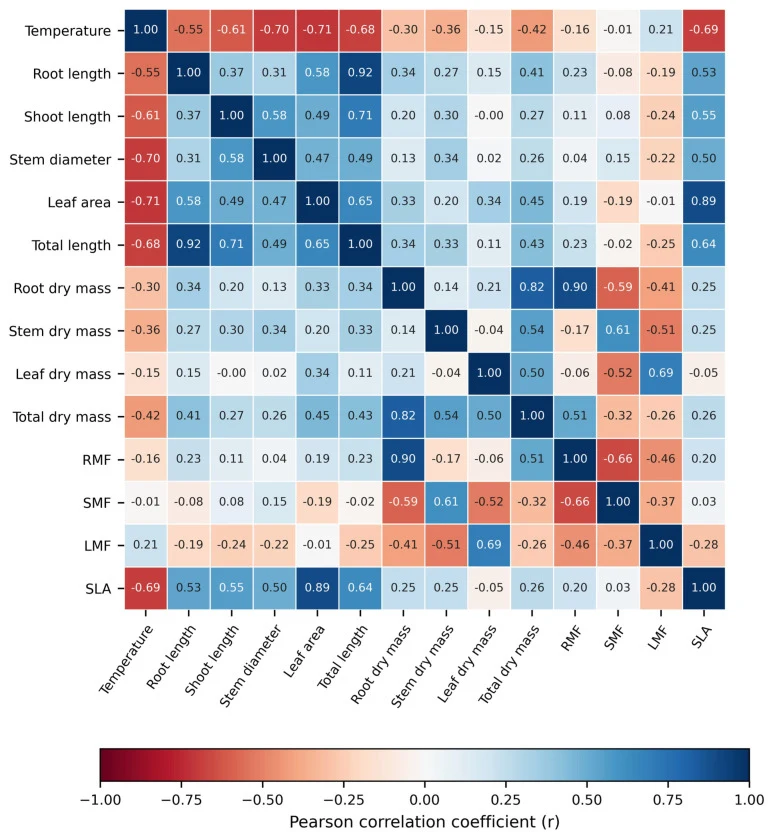 Pearson correlation matrix for the 14 measured or derived traits across all 264 independent tray-cell observations: leaf-surface temperature, root length, shoot length, stem diameter, leaf area, total length, root dry mass, stem dry mass, leaf dry mass, total dry mass, root mass fraction (RMF), stem