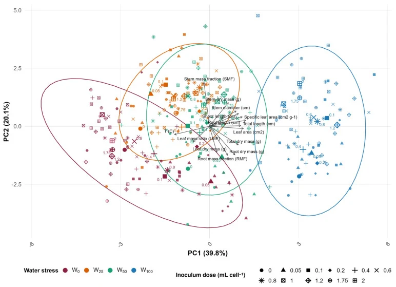 Principal component analysis of all 264 independent tray-cell observations. The 14 input variables were leaf-surface temperature, root length, shoot length, stem diameter, leaf area, total length, root dry mass, stem dry mass, leaf dry mass, total dry mass, root mass fraction (RMF), stem mass fracti