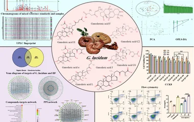 An integrated strategy for screening Q-markers and elucidating anti-fibrotic mec