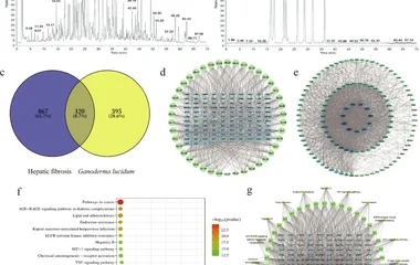 An integrated strategy for screening Q-markers and elucidating anti-fibrotic mec