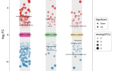 Significance analysis of differential metabolites in G. leucocontextum fruiting bodies grown on different substrates.