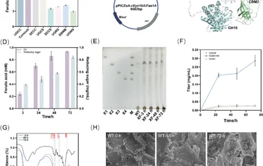 Construction of the upstream xylan-hydrolysis module strain XF and xylan hydrolysis capacity and product analysis of str