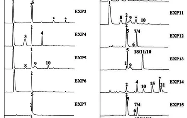 Elucidation of ustilaginoidin biosynthesis reveals a previou