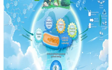 多尺度代谢工程驱动木质素生物转化与高值化利用