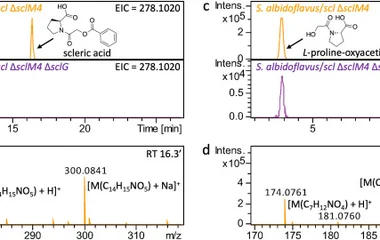 ArpA-like regulatory control and discovery of new biosynthet