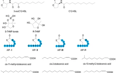 Targeting Quorum Sensing to Combat Foodborne Pathogens: A Dual Strategy Against 