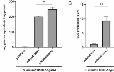 TolC overexpression increases MLG yields in S. meliloti . (A) MLG production was quantified in the S. meliloti 8530 Δ bg