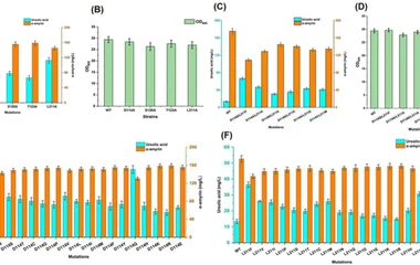 Structure-guided mutagenesis of CYP716A48 improves ursolic acid production. (A) Ursolic acid and α-amyrin production in