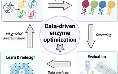 Directed evolution of enzymes at the crossroads of tradition and innovation.