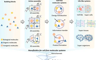 Nanofluidics for Pioneering Synthetic Biology of Bottom-Up Cell-Free Molecular S