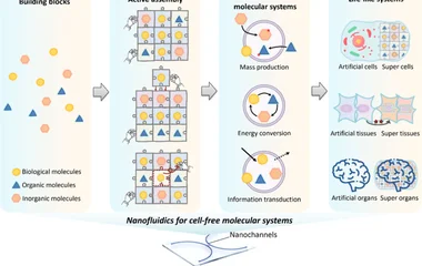 Nanofluidics for Pioneering Synthetic Biology of Bottom-Up Cell-Free Molecular S
