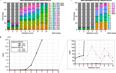 a Tracking of the most abundant motif clades over the course of column-SELEX selection. The different motif clades are i
