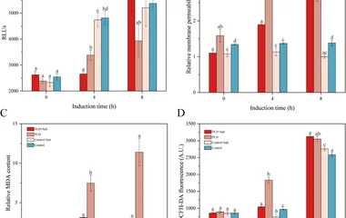 ATP content ( A ) measured in RLUs; relative membrane permeability ( B ); MDA content ( C ), an indicator of lipid perox
