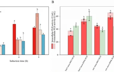 PA content of strains ( A ); the measurements were divided by the corresponding OD 600 to represent the PA content per u