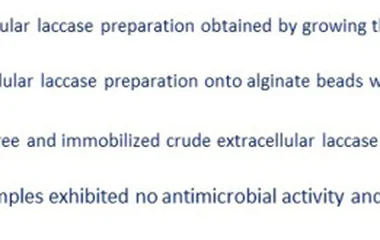 Decolorization of Bromophenol Blue by Free and Immobilized Crude Extracellular L