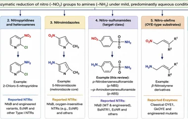 Representative substrate classes reported for nitroreductase- and flavin-dependent reductase-catalyzed reduction.