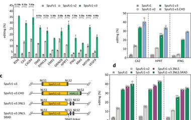 a Comparison of indel editing efficiencies at 12 endogenous genomic loci in HEK293T cells for wild-type SpuFz1, SpuFz1-v
