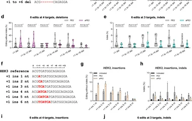 a Alignment of the HEK3 reference sequence and representative deletion variants spanning from the +1 position to +6. Num