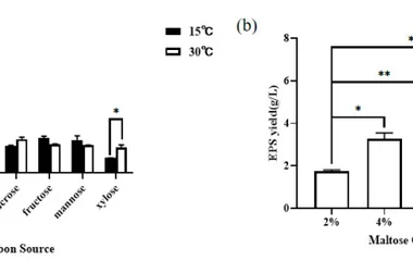 热胁迫调控红冬孢酵母YM25079胞外多糖生物