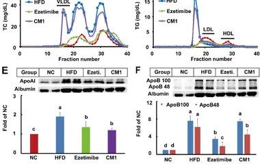 Effect of CM1 on the plasma lipid profiles and the expression of plasma apo计算, apoB and LPL ( n = 5). A, plasma TC conce