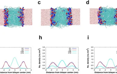 Snapshot from the simulation of the bilayer of (a) Cis -ssPalmO-phe, (b) Trans -ssPalmO-phe, (c) Cis -ssPalmO-ben, (d) T