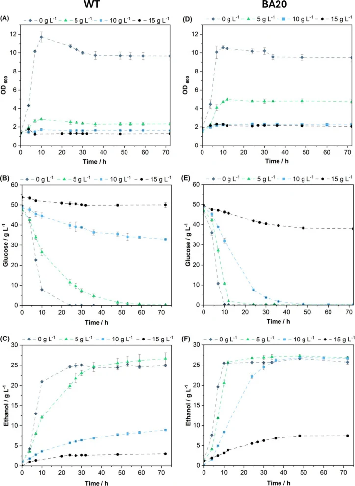 Comparison of cultivation performance under 10 g L¯ 1 butyric acid stress between the wild-type ( A – C ) and the evolved BA20 cells ( D – F ). V = 100 mL; sealed serum bottles; T = 37°C; 150 rpm; pH₀ = 6.0; n = 3