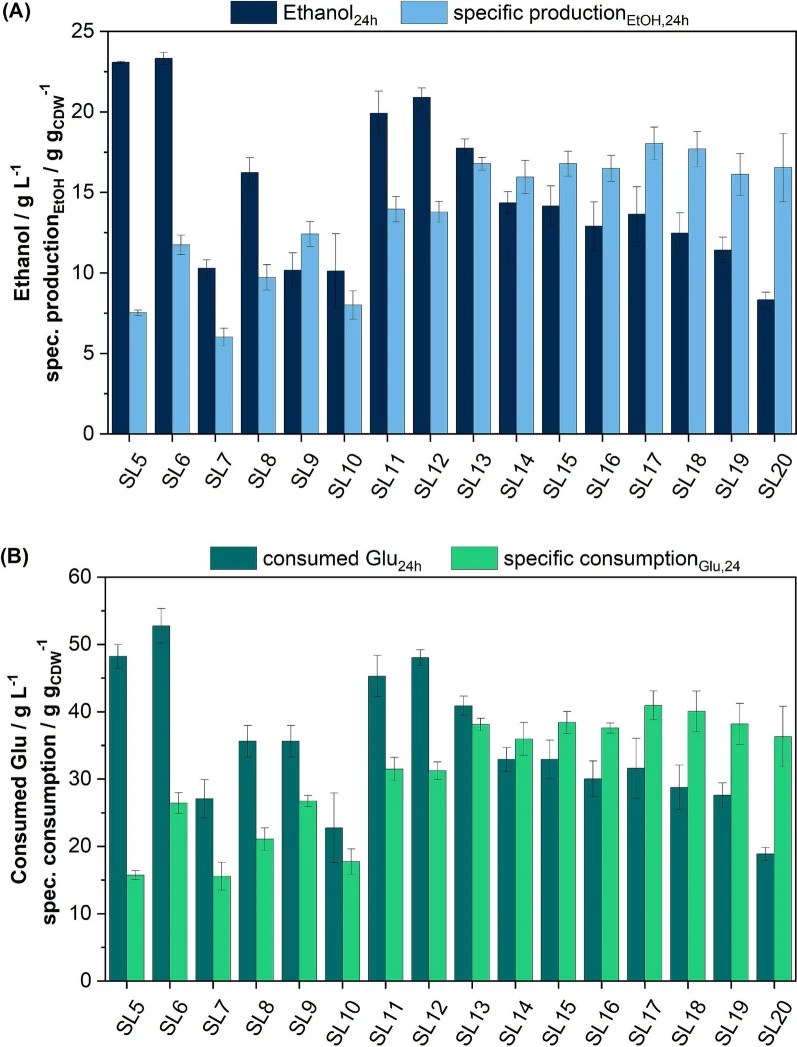不同选择水平(SL)下、丁酸浓度递增的ALE中底物消耗与产物形成。A 乙醇生产;B 葡萄糖消耗。SL编号表示丁酸浓度(g L⁻¹)。具体数值表示24小时时单位生物量的产物形成和底物消耗。CDW由OD相关性得出。YPG培养基添加丁酸;V = 100 mL;T = 32°C;150 rpm;pH₀ = 6.0;好氧条件;n = 3。
