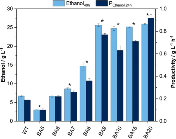 Evaluation of acid tolerance at different stages of ALE; P 24h represents the average volumetric ethanol productivity calculated over a 24 h interval; asterisks indicate significant differences compared to the wild-type strain (p < 0.05);YPG medium supplemented with 10 g L¯ 1 butyric acid; V = 10
