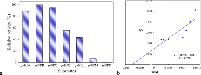 a Substrate specificity of PsEst yfh ( p -NPA: p -nitrophenyl acetate, p -NPB: p -nitrophenyl butyrate, p -NPC: p -nitro