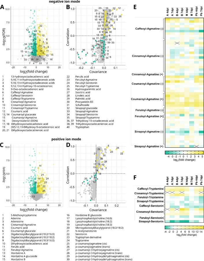 Differential abundance of metabolic features in barley cultivar Avalon at seven days post inoculation with F. culmorum spore solution in comparison with mock-treated controls. Inoculation was performed around mid-anthesis. Infected samples were compared with mock-treated controls of the same cultiva