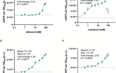 Dose–response curves of E. coli BW25113‐ alkS_mut‐PalkB (carries pACYC184‐PalkS‐alkS ( mut ) and pUC19‐PalkB‐sfgfp plasm