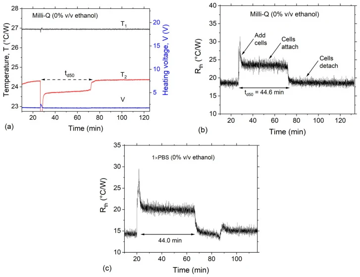 Spontaneous detachment monitoring of yeast in ethanol-free Milli-Q water. ( a ) Typical parameters monitored in real time: chip temperature, T 1 , liquid temperature, T 2 , and heater voltage, V. ( b ) Calculated heat transfer resistance, R th , from the parameters in ( a ) displaying regimes of cel