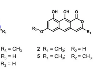 ( A ) Structures of compounds 1 – 5 ; ( B ) Key 2D NMR correlations ( 1 H– 1 H COSY and HMBC) of compound 4 .