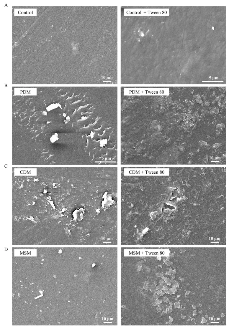 SEM images illustrating the surface deterioration of LDPE films after 30 days of incubation with strain W144 under diffe
