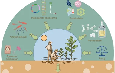 烟草变身低碳生物炼厂：合成生物学驱动的绿色制造新路径