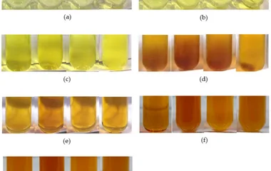 Color of crude extract solutions (20 mg/mL) prepared from different solid-based residues (SBRs) with different solvents: