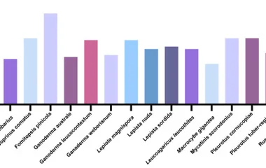Molecular mass of laccase from different edible fungi.