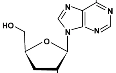 虫草素与活性成分关联：蛹虫草化学组成及其生物活性研究进展