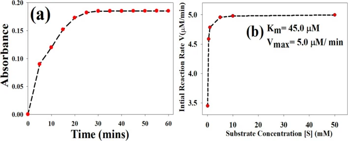 ( a ) 在优化实验条件(磷酸盐缓冲液,pH 6.0,40 °C)下,PMD-Cu NPs催化去甲肾上腺素的时间依赖性氧化。( b ) 米氏方程图示,展示初始反应速率与去甲肾上腺素浓度之间的关系。表观动力学参数为 K m = 45.0 µM,V max = 5.0 µM/min。数据来自三次独立实验(n = 3),以平均值±标准差(SD)表示。