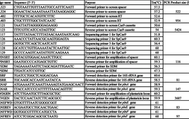 An optimized CRISPR/Cas9-based genome editing platform enhances bacteriocin prod